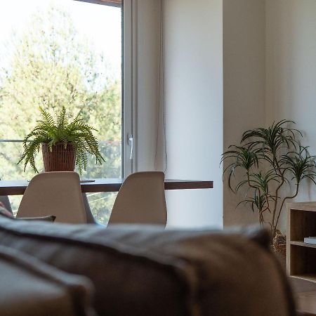 Alpes Da Montanha 501 - Apartamento Em Gramado Ngoại thất bức ảnh